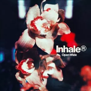 The album cover art for Open Wide