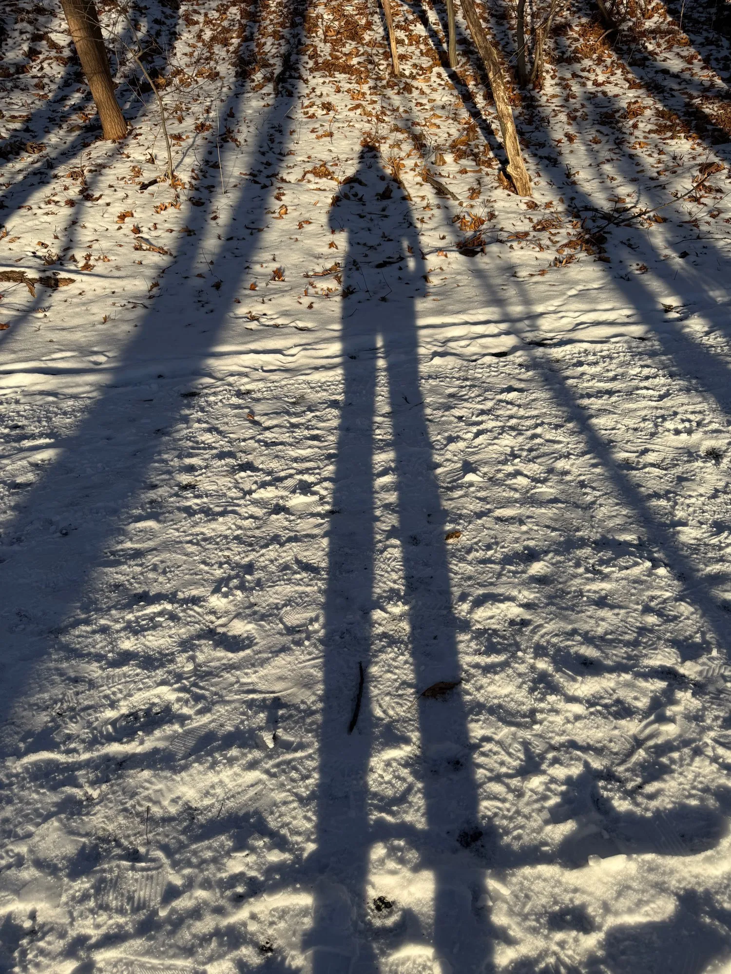 John Paul Davis's shadow, cast against snow