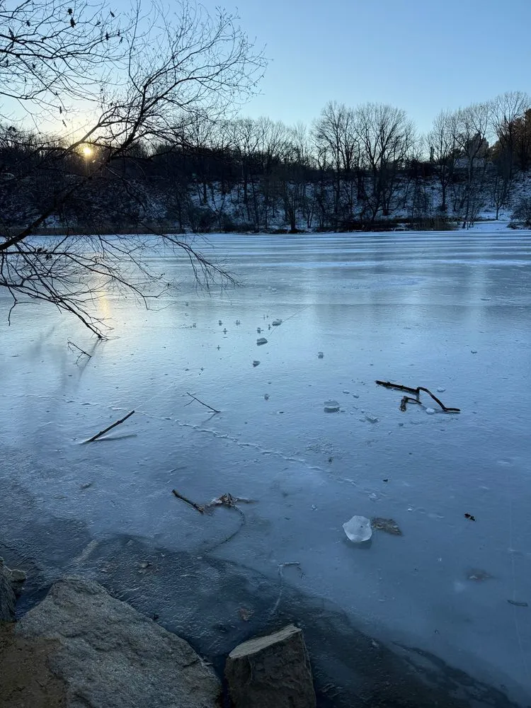 Van Cortlandt Lake, frozen over, with the sunrise reflected off the ice.