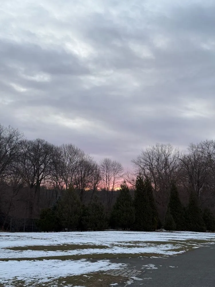 sunrise in Van Cortlandt Park