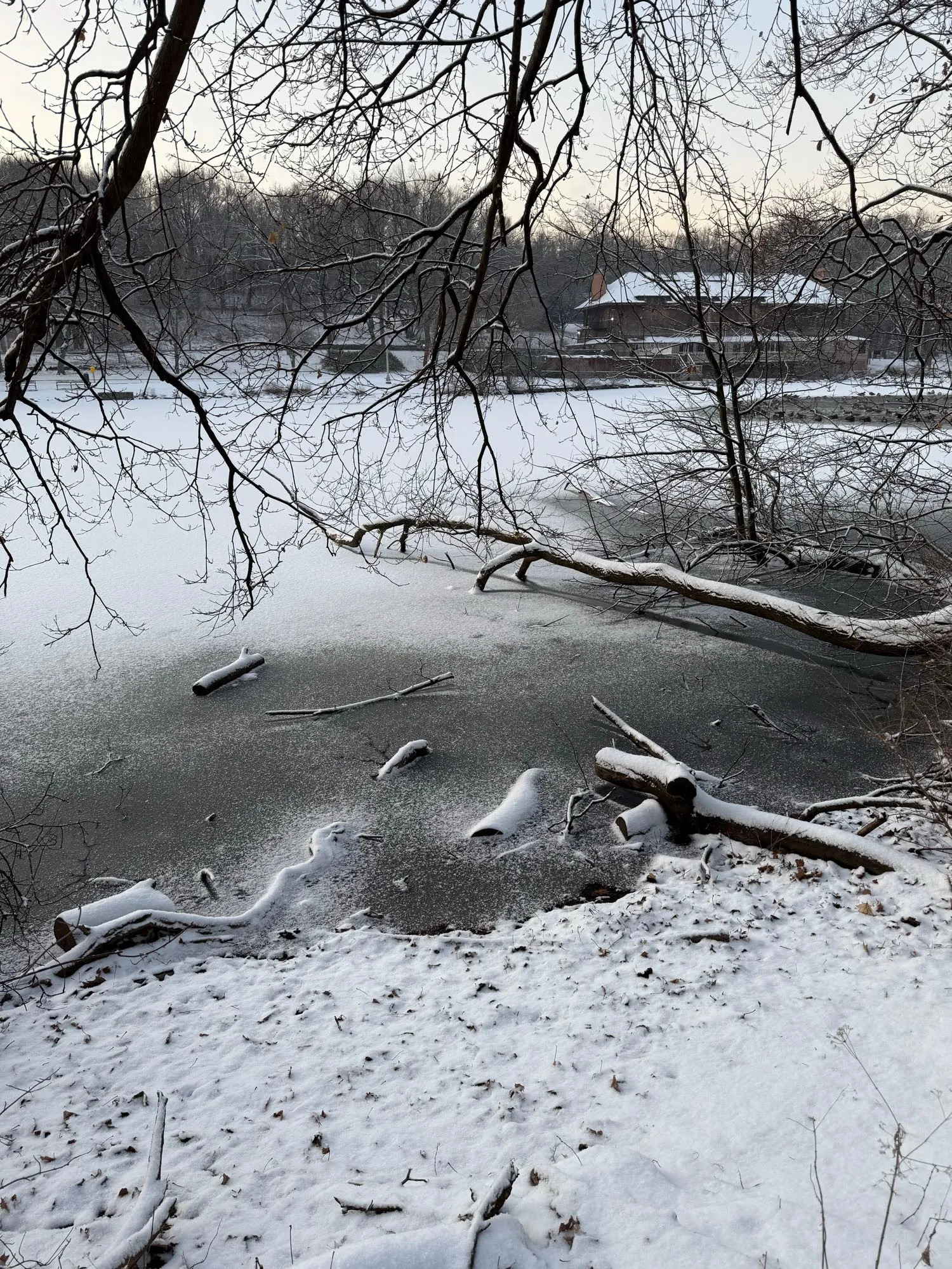 Frozen-over Van Cortlandt Lake, with a snow-covered bank in the foreground.