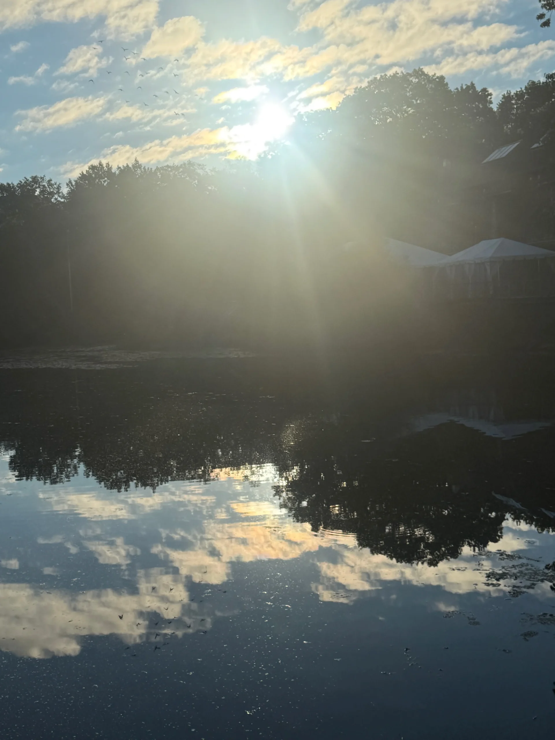 Early morning sun poking over the treeline on the eastern shore of Van Cortlandt Lake