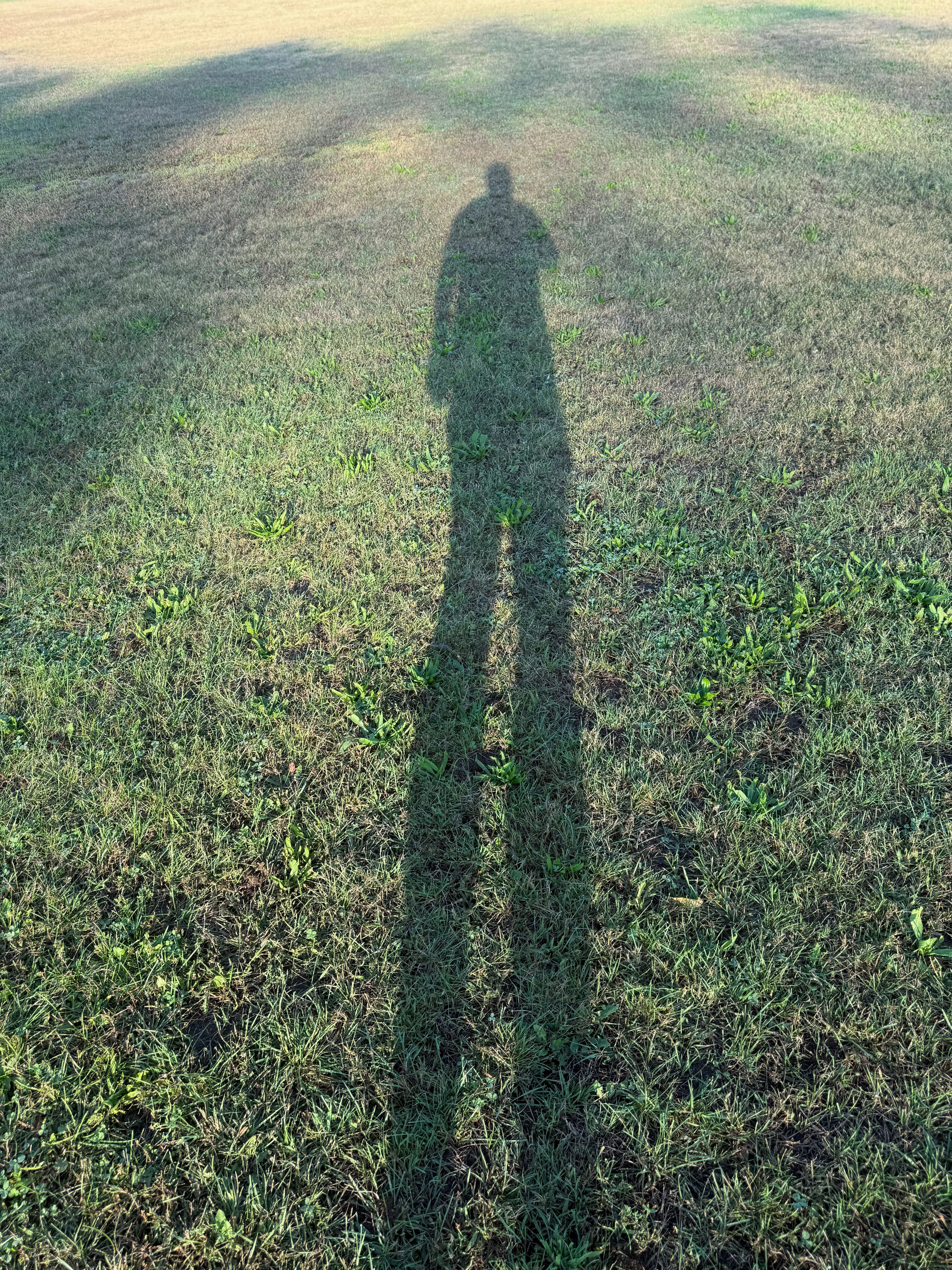 John Paul Davis's shadow cast against grass on the Parade Ground in Van Cortlandt Park