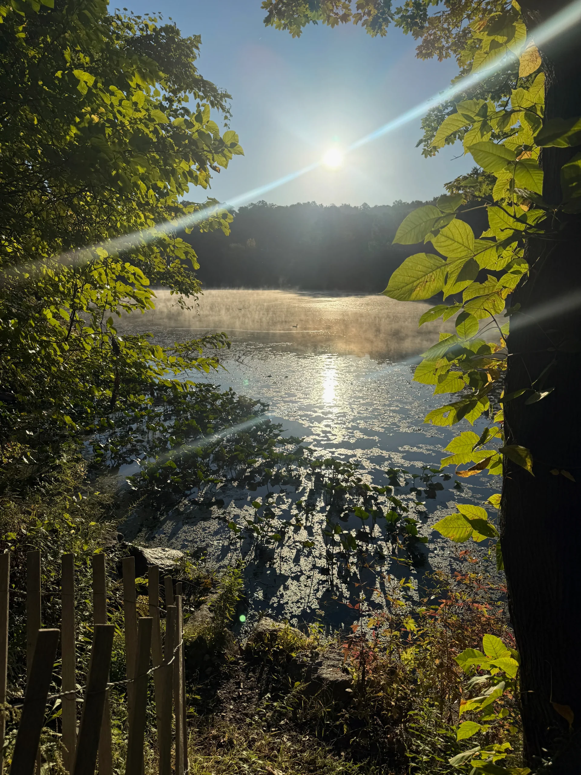The morning sun over Van Cortlandt Lake